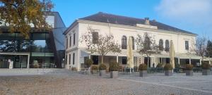 クレムス・アン・デア・ドナウにあるOase Krems - Perle der Wachauの前に木々がある大きな白い建物