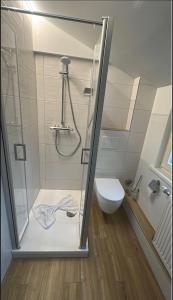 a bathroom with a shower and a toilet at Wohlfühloase Goslar no 3 in Goslar