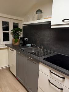 a kitchen with a sink and a counter top at Wohlfühloase Goslar no 3 in Goslar +2 photos