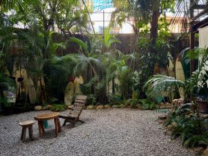 Κήπος έξω από το La puntaSurf