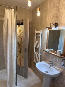 a bathroom with a sink and a shower and a mirror at Kalinderu Slope View in Buşteni +102 photos