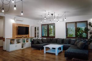 TV a/nebo společenská místnost v ubytování Pensiunea Nossa Panzió