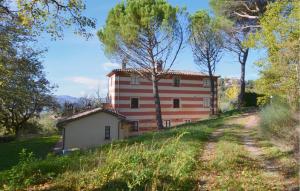 a house on a hill with a dirt road in front at Ciliegio in Citerna