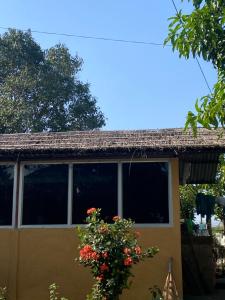 a house with a window with a plant at Hotel Dobhan in Bharatpur