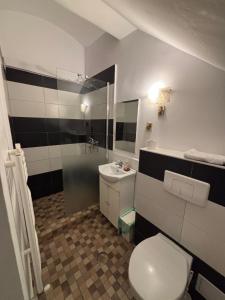 Ένα μπάνιο στο Brasov Gondola Apartments