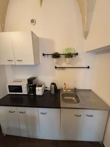 Η κουζίνα ή μικρή κουζίνα στο Brasov Gondola Apartments