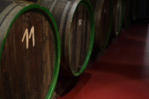 Afbeelding uit fotogalerij van Weingut Loescher in Senheim +6 foto's