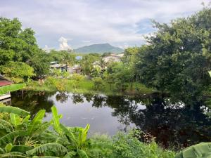 Příroda nedaleko hotelu + 17 fotografií