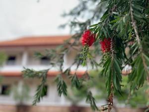 Zahrada ubytování The Terrace Homestay Resort