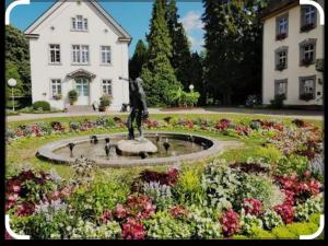 Zahrada ubytování Domus Lux 53