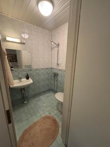 Koupelna v ubytování Studio Sillankorva