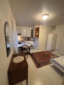 Kuchyň nebo kuchyňský kout v ubytování Studio Sillankorva