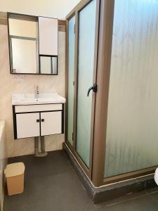 a bathroom with a sink and a glass shower at Belle Mare Apartment in Belle Mare