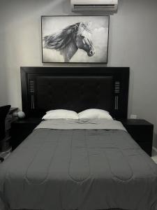 En eller flere senge i et værelse på Peaceful Coastal Escape In La Paz, Baja Cal Sur