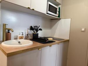 a bathroom counter with a sink and a microwave at JOYA - Appartement calme en hypercentre - proche des thermes in Aix-les-Bains +21 photos