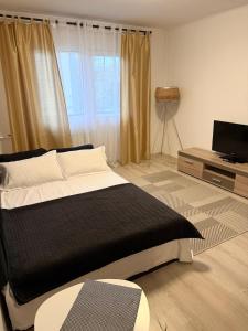 a bedroom with a large bed and a television at Apartament Densia in Craiova close to the center in Craiova