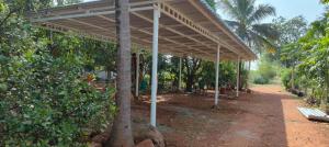 Serene Homestay في بادامي: جناح في حديقة فيها نخيل +16 صورة