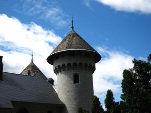 a building with a tower with a roof at Charming Castle in Serrières-en-Chautagn with Pool in Serrières-en-Chautagne +26 photos