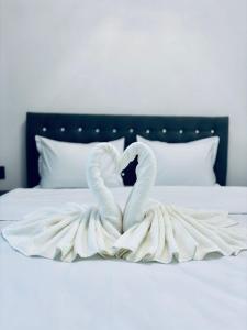 Dos cisnes haciendo un corazón en una cama en Secret Forest Avrig By Erwin, en Avrig