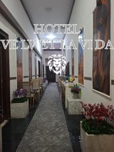 Fotografie z fotogalerie ubytování La vi da ve lv et v Káhiře