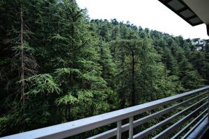a view of a forest of trees from a bridge at Staynest BNB - Balcony Rooms - 3BHK Apartments in Shimla +17 photos
