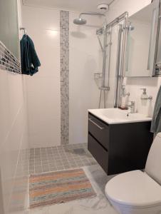 a bathroom with a shower and a toilet and a sink at Home in Vingåker in Vingåker