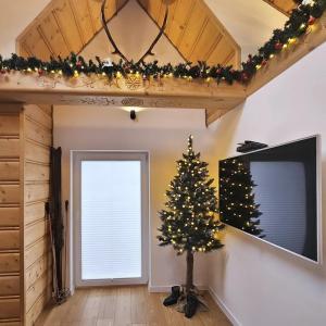 een kerstboom in een kamer met een televisie bij Podhalańska Ostoja Apartament in Biały Dunajec