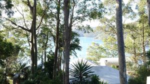 Blick auf einen See durch die Bäume in der Unterkunft Hardys Bay View From Every Window in Hardys Bay
