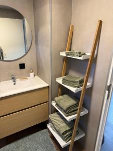a bathroom with a sink and a shelf with towels at Chalet Sint-Hubertus in Zutendaal +49 photos