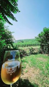 een glas wijn zittend in een veld bij La signature d'Alsace in Bennwihr