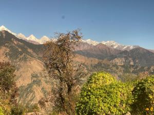 Φυσικό τοπίο κοντά σε αυτό το hostel