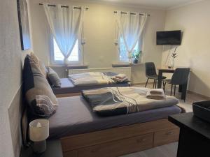 TV a/nebo společenská místnost v ubytování Pension am Görlitzbach