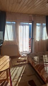 Posezení v ubytování Pensiunea ALEROX + 5 fotografií