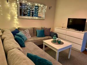 TV a/nebo společenská místnost v ubytování Wellness chill domek na Kaszubach,Gołubie ,saunowy zakątek z balia pod gwiazdami