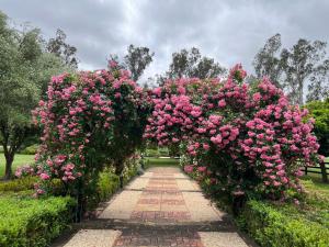 Gallery image of Nook horse farm in Nagambie
