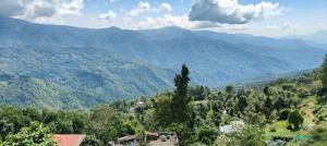 Příroda nedaleko ubytování v soukromí + 9 fotografií