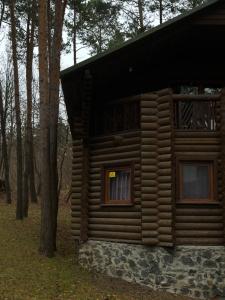 a log cabin in the woods with two windows at Готельно-ресторанний комплекс Загадка in Khmelʼnytsʼkyy