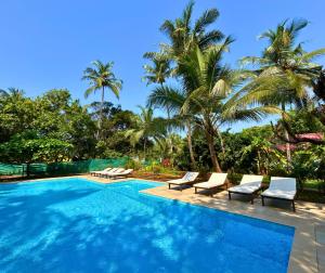 Bazén v ubytování Jungle Hut-Annabelle's Beach Apartments at Bernard Simao,Calangute,Goa nebo v jeho okolí