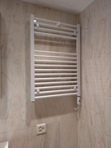 a shower with a metal radiator in a bathroom at Renovierte Wohnung in 8903 Birmensdorf in Birmensdorf