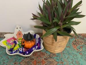 Fotografie z fotogalerie ubytování Chic Stylish Granny Flat with Stunning Garden View at MC 2079 v destinaci Mount Colah