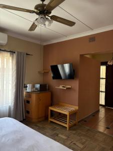 TV a/nebo společenská místnost v ubytování Laroza guest house