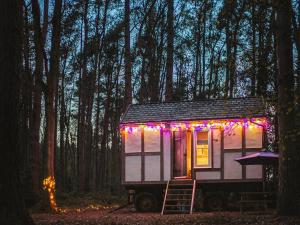 a tiny house with christmas lights in the woods at Jacobs Folly-Qu7115 in Melton Constable