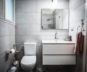 a bathroom with a toilet and a sink and a mirror at וילה בקיבוץ דפנה - אירוח וטיולים בלב טבע פראי in Metsudat Menahem Ussishkin Alef +19 photos