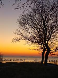 Peisaj natural din apropierea acestui apartament +8 fotografii