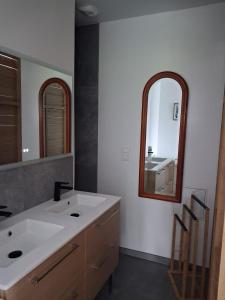 a bathroom with a white sink and a mirror at Gîte du Papillon CALUTRE in Carvin +5 photos