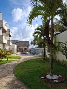 a palm tree in a park next to a building at Ocean View Tabatinga Residence in Barra de Tabatinga