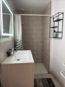 Koupelna v ubytování T2 élégant au cœur de Cordes + 5 fotografií