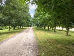 a dirt road with trees on either side at Swan in Welney +2 photos