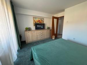 a bedroom with a bed and a flat screen tv at Apartament Hanna - Straja in Uricani +2 photos