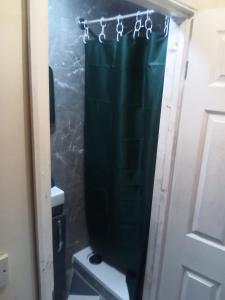 a bathroom with a shower with a green shower curtain at Romantic Guest Rooms in London